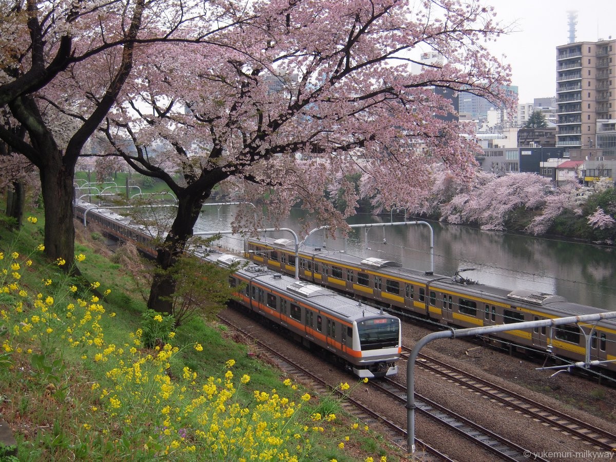 桜と電車・飯田橋駅付近・東側 JR東日本中央線快速E233系