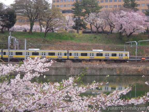 桜と電車・飯田橋駅付近・西側 JR東日本中央・総武緩行線E231系